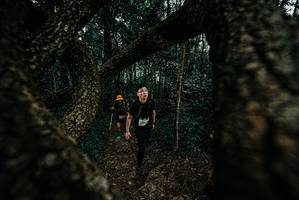 BIB: 
                            <button type="button" onclick="openModal(25676431)" class="btn btn-primary btn-sm float-right btn-popup" data-toggle="modal" data-target=".modal-high-quality">
                        <i class="fas fa-shopping-cart"></i> Add to Cart
                    </button>
                                            <button type="button" onclick="isThisMe(25676431, true)" class="btn btn-success btn-sm float-right btn-popup btn-isme hidden" data-toggle="tooltip" data-placement="bottom" title="นี่คือรูปของคุณใช่ไหม คลิกที่นี่เพื่อเอาเข้าอัลบั้ม">
                        <i class="fas fa-plus"></i> Add to album
                    </button>
                    <button type="button" onclick="isThisMe(25676431, false)" class="btn btn-warning btn-sm float-right btn-popup btn-isnotme hidden">
                        <i class="fas fa-ban"></i> Remove from album
                    </button>